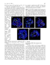 Báo cáo y học Low temperature tolerance of human embryonic stem cells