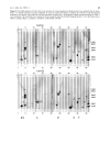 Báo cáo y học Proteomic analysis of mechanisms of hypoxia induced apoptosis in trophoblastic cells