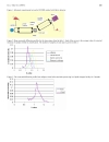 Báo cáo y học Application of Small Angle X ray Scattering SAXS for Differentiation between Normal and Cancerous Breast Tissue