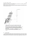 Báo cáo y học A review of anatomical and mechanical factors affecting vertebral body integrit