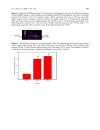 Báo cáo y học Elevated plasma homocysteine is positively associated with age independent of C677T mutation of the methylenetetrahydrofolate reductase gene in selected Egyptian subjects