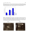 Báo cáo y học Elevated plasma homocysteine is positively associated with age independent of C677T mutation of the methylenetetrahydrofolate reductase gene in selected Egyptian subjects