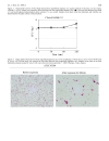 Báo cáo y học In vitro bactericidal activities of Japanese rice fluid against Helicobacter pylori strains