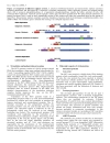 Báo cáo y học Molecular Virology of Hepatitis C Virus HCV 2006 Update