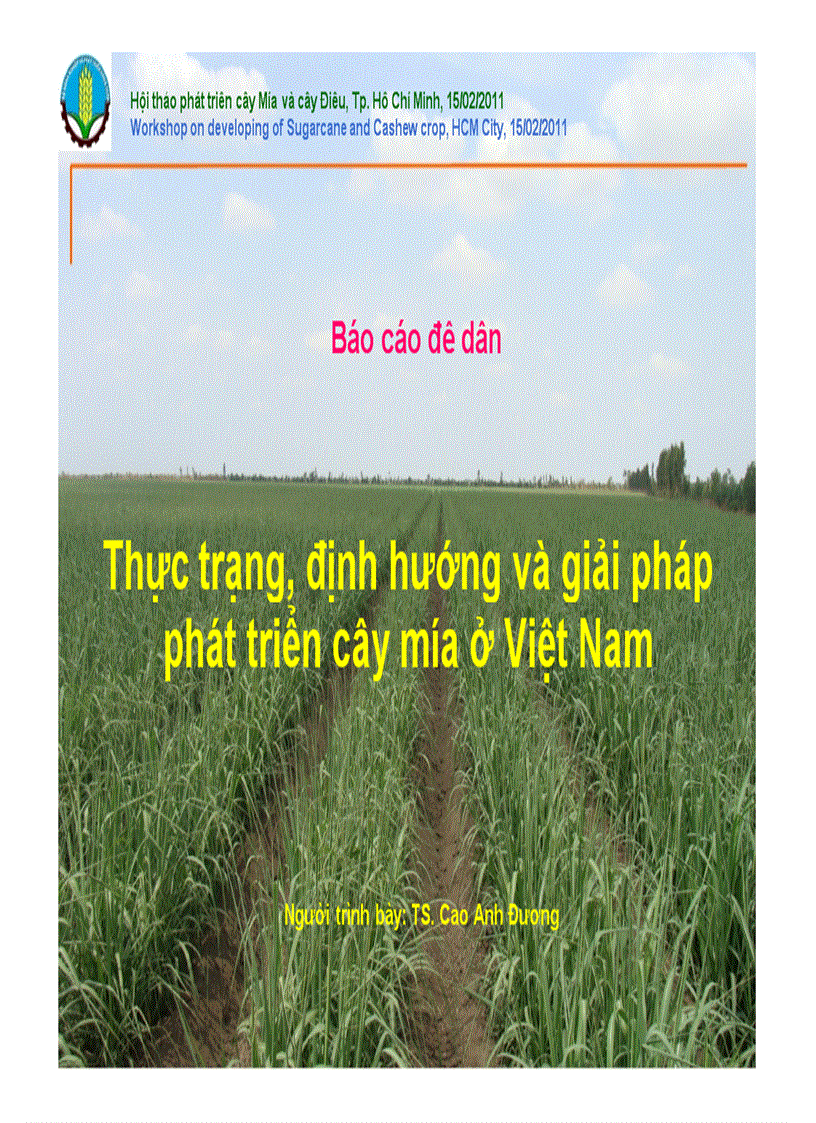 Thực trạng mía đường Việt Nam