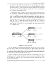 Bộ giao thức TCP IP