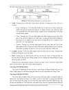 Bộ giao thức TCP IP