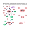 Báo cáo y học Functional genomics analysis of low concentration of ethanol in human hepatocellular carcinoma HepG2 cells Role of genes involved in transcriptional and translational processes