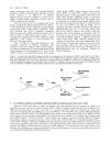 Báo cáo y học PARP 1 inhibitors are they the long sought genetically specific drugs for BRCA1 2 associated breast cancers