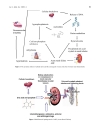 Báo cáo y học Rasburicase represents a new tool for hyperuricemia in tumor lysis syndrome and in gout Lisa Cammalleri and Mariano Malaguarnera