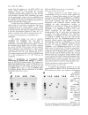 Báo cáo y học Comparison of osteogenic potentials of human rat BMP4 and BMP6 gene therapy using E1 and E1 E2b adenoviral vectors