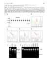 Báo cáo y học Mutation Analysis of hCDC4 in AML Cells Identifies a New Intronic Polymorphis