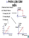 Nhiệm vụ của cảm biến