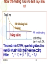 Quản trị tài chính doanh nghiệp