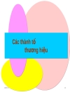 Quản trị thương hiệu