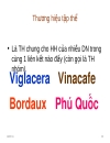 Quản trị thương hiệu