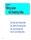 Quản trị thương hiệu