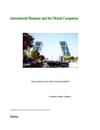 International Business and the Global Companies ORGANISATION AND MANGEMENT