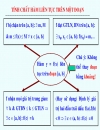 Vecto bé vecto lớn liên tục