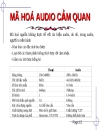 Kỹ thuật Audio