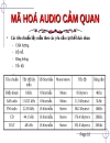 Kỹ thuật Audio