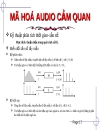 Kỹ thuật Audio