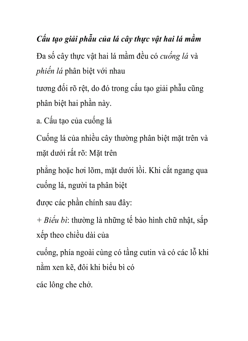 Cấu tạo giải phẫu của lá cây thực vật hai lá mầm