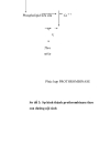 Giai đoạn thành lập phức hợp prothrombinase