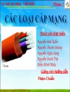 Các loại cáp mạng