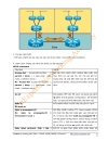 LAB MPLS tiếng Việt