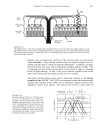 Image Formation Display