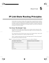 IP Link State Routing Principles