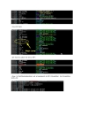 Armadillo 4 xx Code Splicing Import Elimination