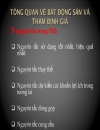 Tổng quan về bđs và thẩm định giá