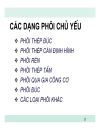 Thiết bị tạo hình