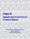 Aggregate supply the price level and the speed of adjustment