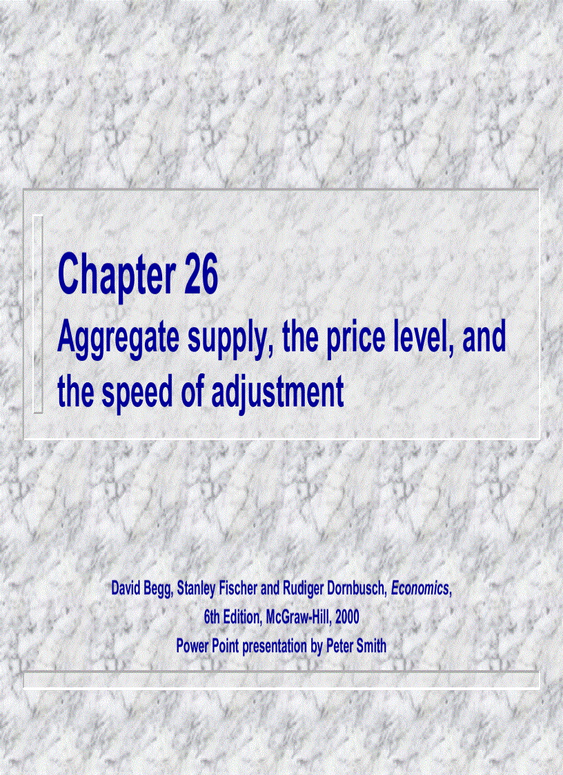 Aggregate supply the price level and the speed of adjustment