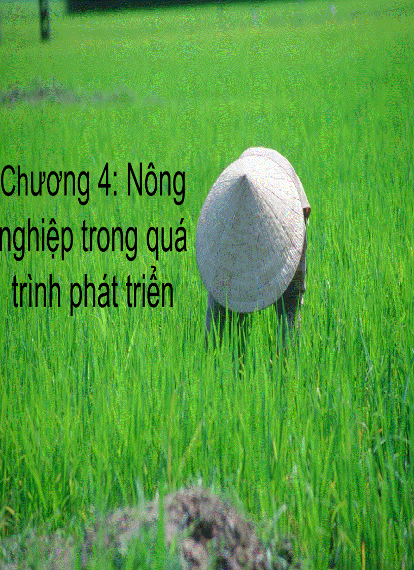 Nông nghiệp trong quá trình phát triển