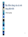 Các nước đang phát triển và sự lựa chọn con đường phát triển