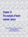 The analysis of factor markets labour