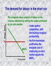 The analysis of factor markets labour