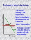 The analysis of factor markets labour