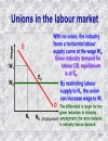 Human capital discrimination and trade unions