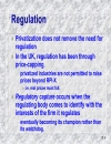 Privatization and regulation