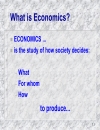 Economics and the Economy