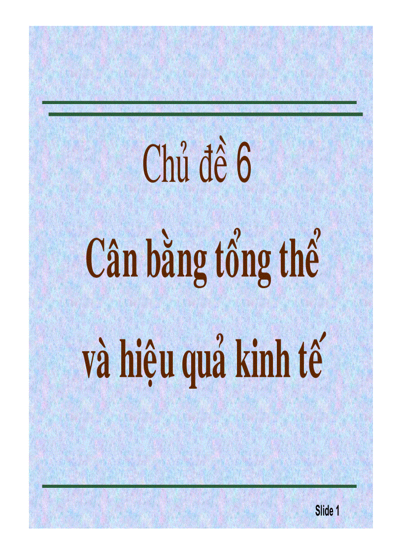 Cân bằng tổng thể và hiệu quả kinh tế