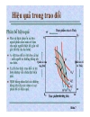 Cân bằng tổng thể và hiệu quả kinh tế