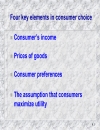 The theory of consumer choice