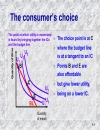 The theory of consumer choice