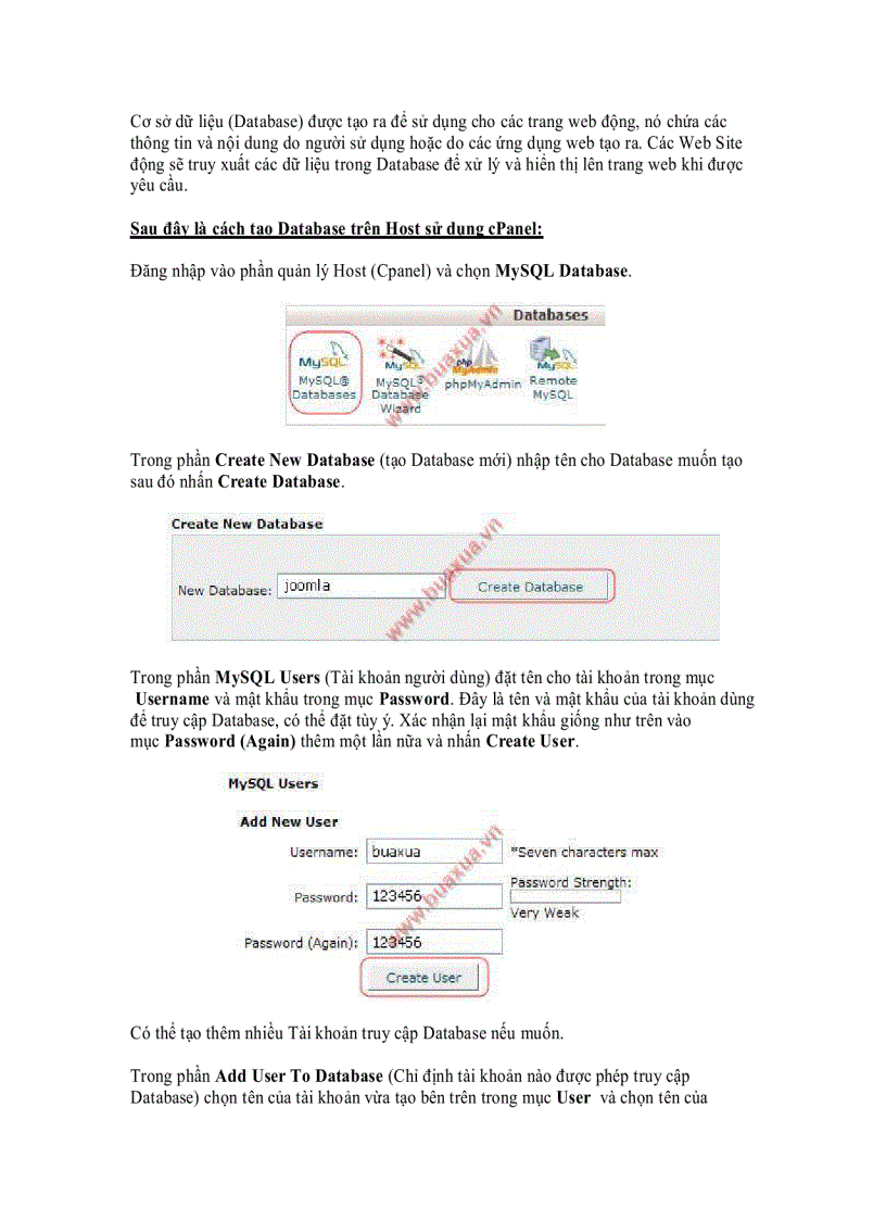 Cách tạo Database trên host sử dụng cPanel